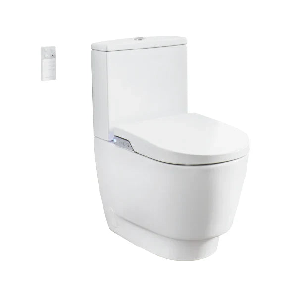 Smart Toilets